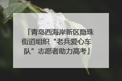 青岛西海岸新区隐珠街道组织“老兵爱心车队”志愿者助力高考