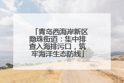 青岛西海岸新区隐珠街道：集中排查入海排污口，筑牢海洋生态防线