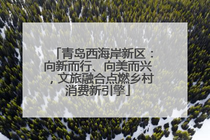 青岛西海岸新区：向新而行、向美而兴，文旅融合点燃乡村消费新引擎