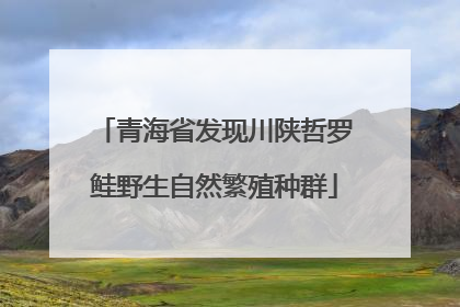 青海省发现川陕哲罗鲑野生自然繁殖种群