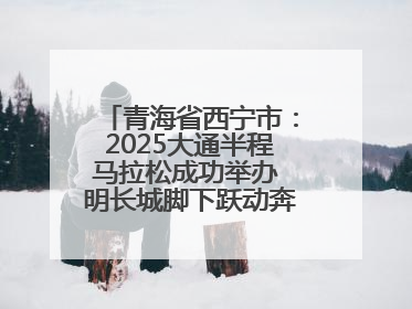 青海省西宁市：2025大通半程马拉松成功举办 明长城脚下跃动奔跑音符