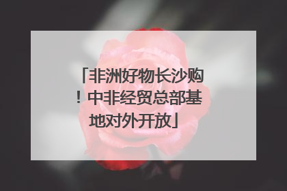 非洲好物长沙购！中非经贸总部基地对外开放