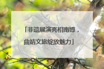非遗展演亮相南博，曲靖文旅绽放魅力