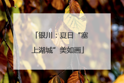 银川：夏日“塞上湖城”美如画