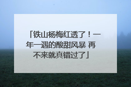 铁山杨梅红透了！一年一遇的酸甜风暴 再不来就真错过了