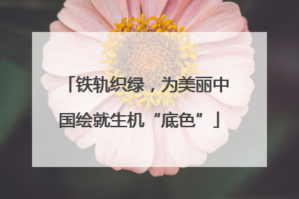 铁轨织绿，为美丽中国绘就生机“底色”