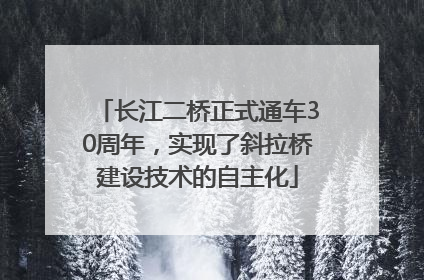 长江二桥正式通车30周年，实现了斜拉桥建设技术的自主化