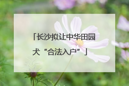 长沙拟让中华田园犬“合法入户”