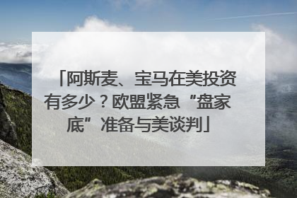 阿斯麦、宝马在美投资有多少？欧盟紧急“盘家底”准备与美谈判