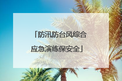 防汛防台风综合应急演练保安全