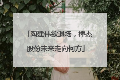 陶建伟欲退场，棒杰股份未来走向何方