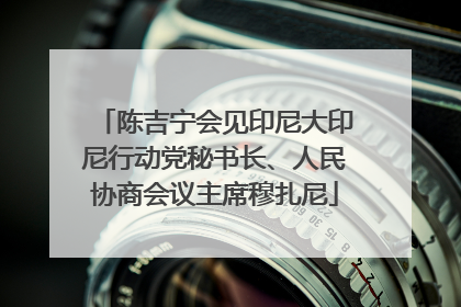 陈吉宁会见印尼大印尼行动党秘书长、人民协商会议主席穆扎尼