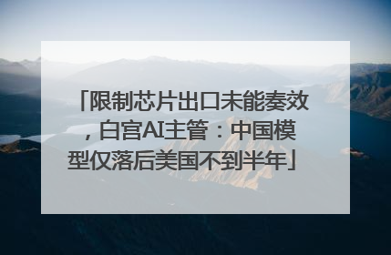 限制芯片出口未能奏效，白宫AI主管：中国模型仅落后美国不到半年