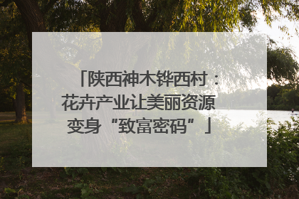 陕西神木铧西村：花卉产业让美丽资源变身“致富密码”
