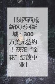 陕西西咸新区泾河新城：300万美元签约！茯茶“金花”绽放中亚