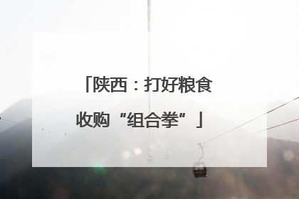 陕西：打好粮食收购“组合拳”