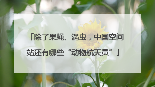 除了果蝇、涡虫，中国空间站还有哪些“动物航天员”