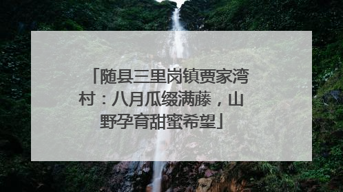随县三里岗镇贾家湾村：八月瓜缀满藤，山野孕育甜蜜希望