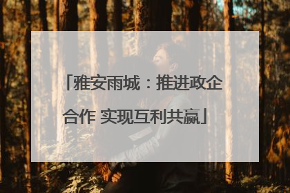 雅安雨城：推进政企合作 实现互利共赢