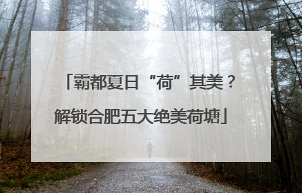 霸都夏日“荷”其美？解锁合肥五大绝美荷塘