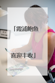 霞浦鲍鱼喜迎丰收