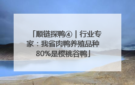 顺链探鸭④｜行业专家：我省肉鸭养殖品种80%是樱桃谷鸭