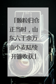 颗粒归仓正当时，山东六千余万亩小麦陆续开镰收获