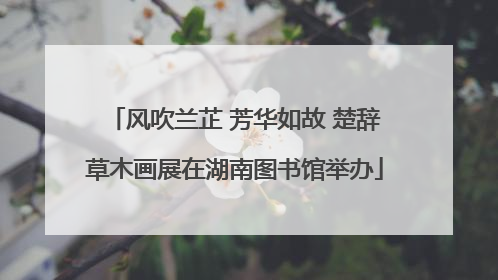 风吹兰芷 芳华如故 楚辞草木画展在湖南图书馆举办