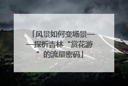 风景如何变场景——探析吉林“赏花游”的流量密码