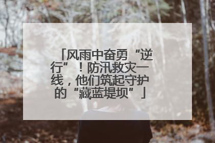 风雨中奋勇“逆行”！防汛救灾一线，他们筑起守护的“藏蓝堤坝”