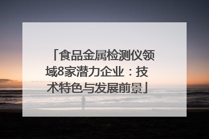 食品金属检测仪领域8家潜力企业：技术特色与发展前景