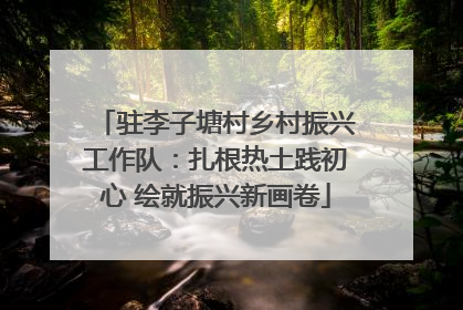 驻李子塘村乡村振兴工作队：扎根热土践初心 绘就振兴新画卷