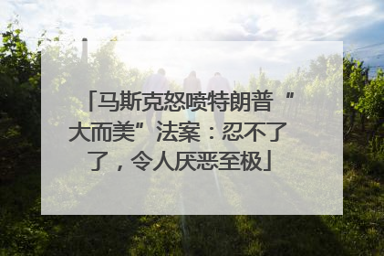 马斯克怒喷特朗普“大而美”法案：忍不了了，令人厌恶至极