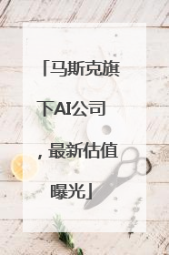 马斯克旗下AI公司，最新估值曝光