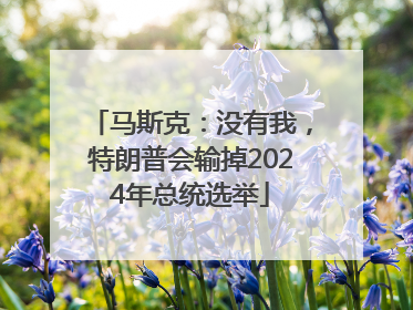 马斯克：没有我，特朗普会输掉2024年总统选举