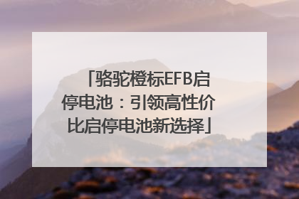 骆驼橙标EFB启停电池：引领高性价比启停电池新选择