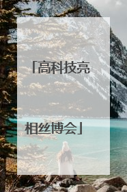 高科技亮相丝博会