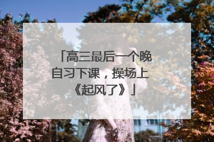 高三最后一个晚自习下课，操场上《起风了》