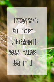 高桥义乌组“CP”，打造湘非贸易“超级接口”