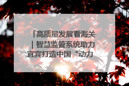 高质量发展看海关｜智慧监管系统助力宜宾打造中国“动力电池之都”
