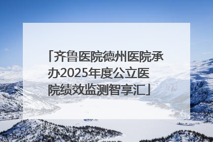 齐鲁医院德州医院承办2025年度公立医院绩效监测智享汇