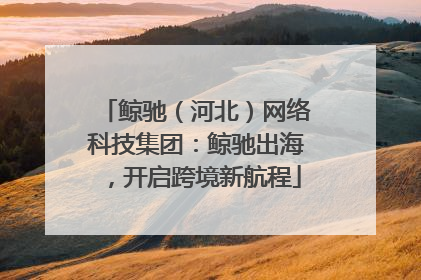 鲸驰（河北）网络科技集团：鲸驰出海，开启跨境新航程