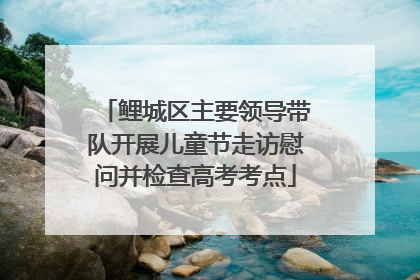 鲤城区主要领导带队开展儿童节走访慰问并检查高考考点