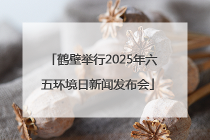 鹤壁举行2025年六五环境日新闻发布会