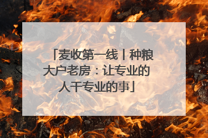 麦收第一线丨种粮大户老房：让专业的人干专业的事