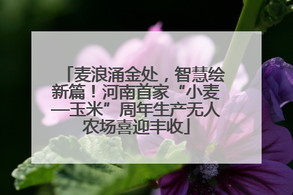 麦浪涌金处，智慧绘新篇！河南首家“小麦—玉米”周年生产无人农场喜迎丰收