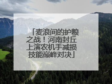 麦浪间的护粮之战！河南封丘上演农机手减损技能巅峰对决