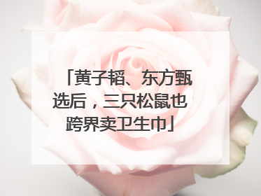 黄子韬、东方甄选后，三只松鼠也跨界卖卫生巾