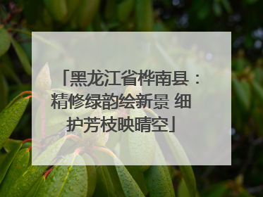 黑龙江省桦南县：精修绿韵绘新景 细护芳枝映晴空