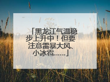 黑龙江气温稳步上升中！但要注意雷暴大风、小冰雹……